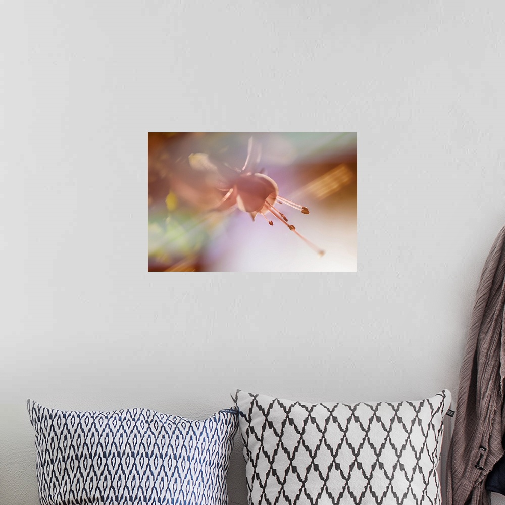 A bohemian room featuring Soft focused photograph of a flower in warm tones with a shallow depth of field.