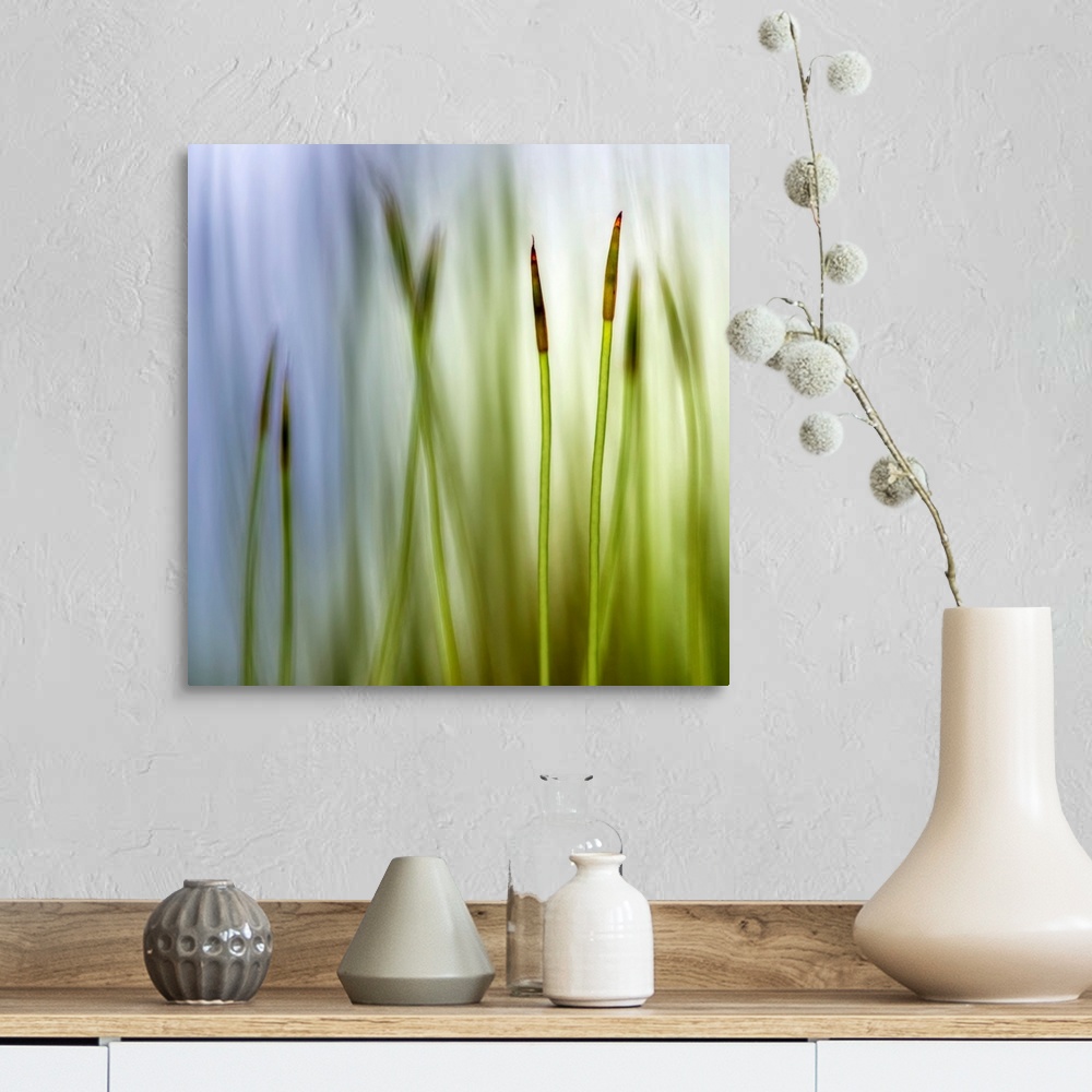 A farmhouse room featuring Big square artwork with a closeup of two moss grass blades with a blurred grass and sky backgroun...