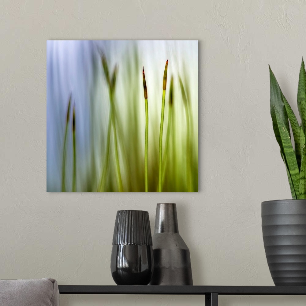 A modern room featuring Big square artwork with a closeup of two moss grass blades with a blurred grass and sky backgroun...
