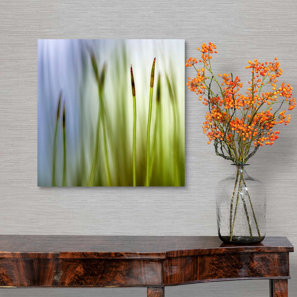 A traditional room featuring Big square artwork with a closeup of two moss grass blades with a blurred grass and sky backgroun...