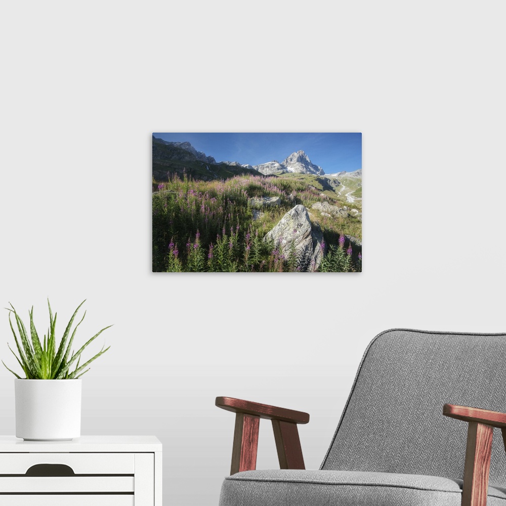 A modern room featuring A rocky mountain on the horizon seen from a field with wildflowers.