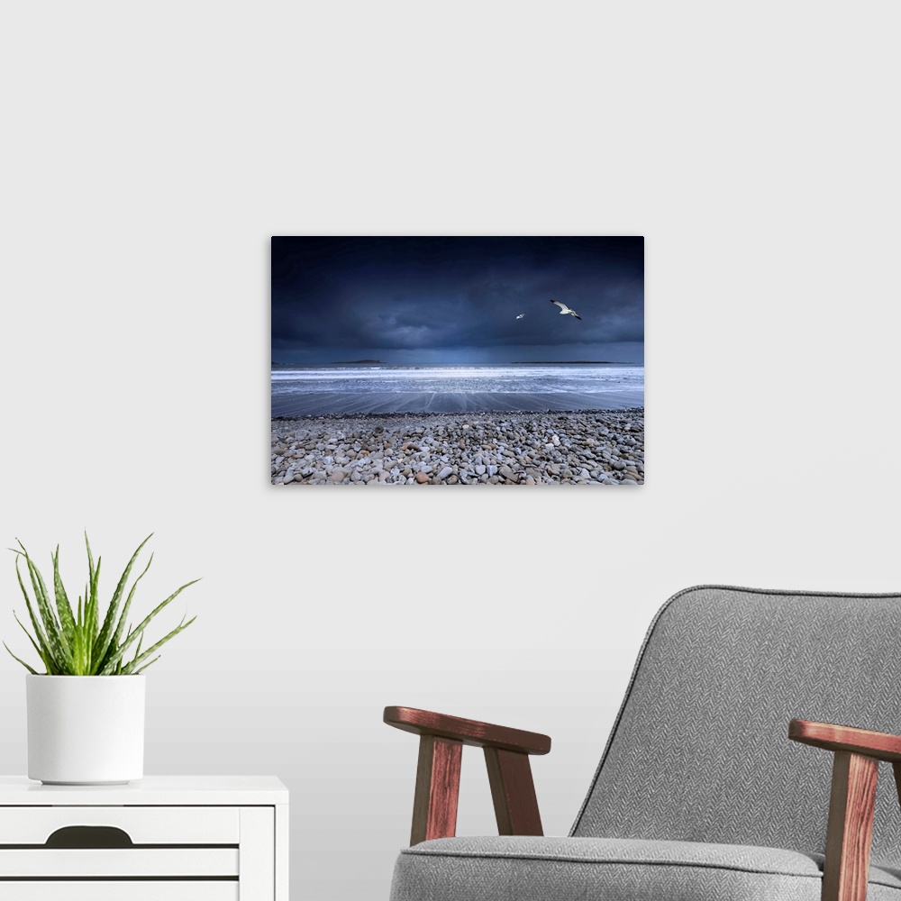 A modern room featuring Fine art photo of a rocky beach on the ocean shore with two seagulls in the dark, stormy sky.