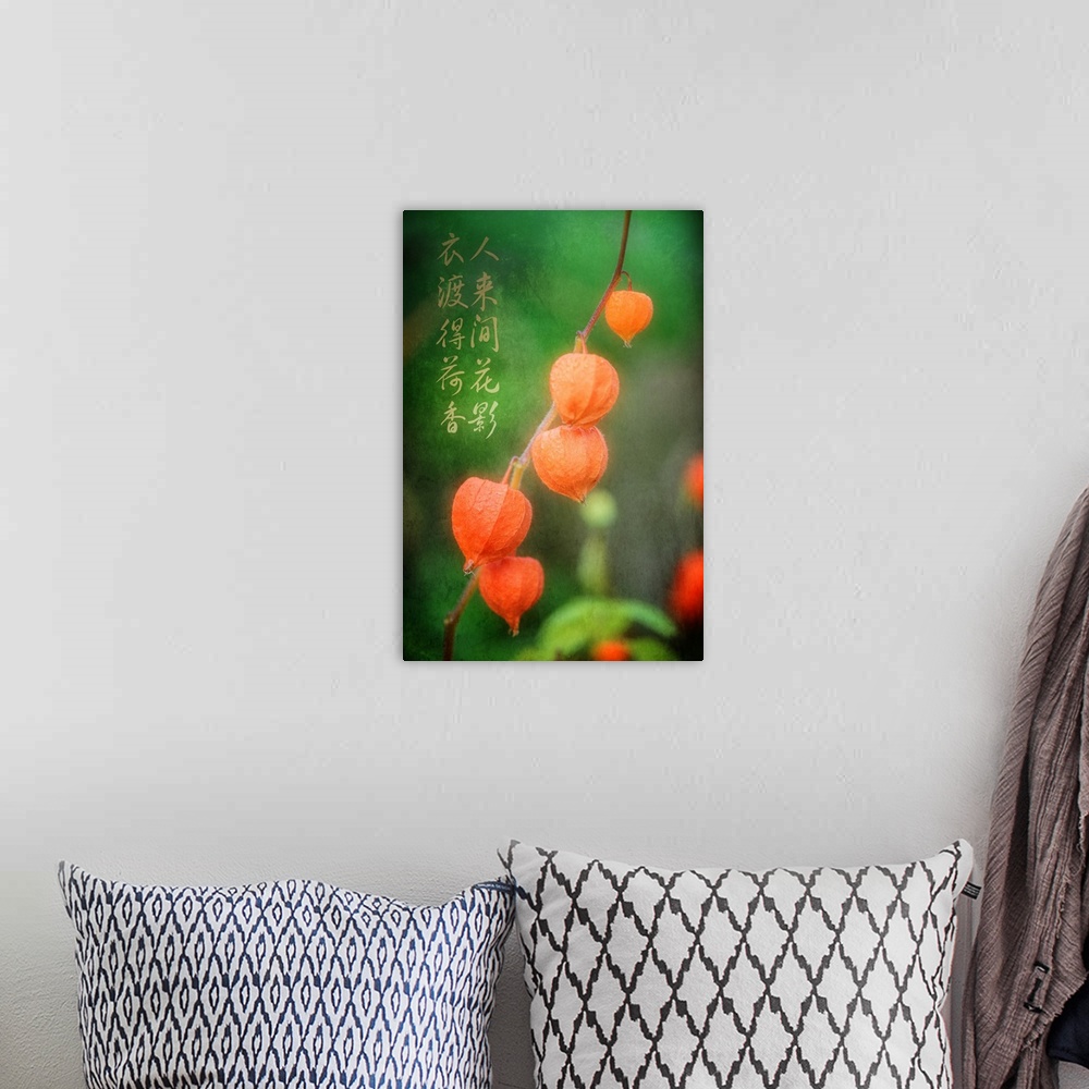 A bohemian room featuring Orange Chinese Lantern fruit on a branch, with Chinese calligraphy.