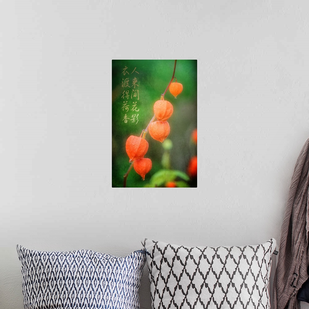 A bohemian room featuring Orange Chinese Lantern fruit on a branch, with Chinese calligraphy.