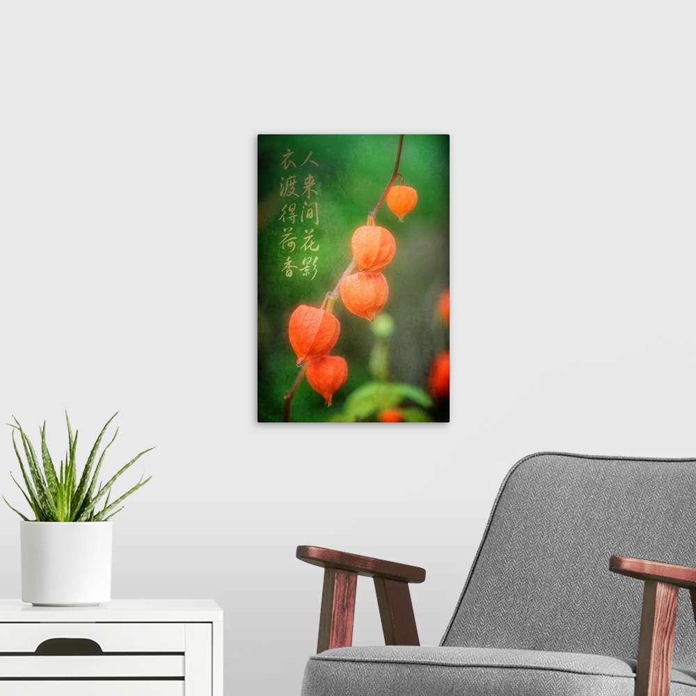 A modern room featuring Orange Chinese Lantern fruit on a branch, with Chinese calligraphy.