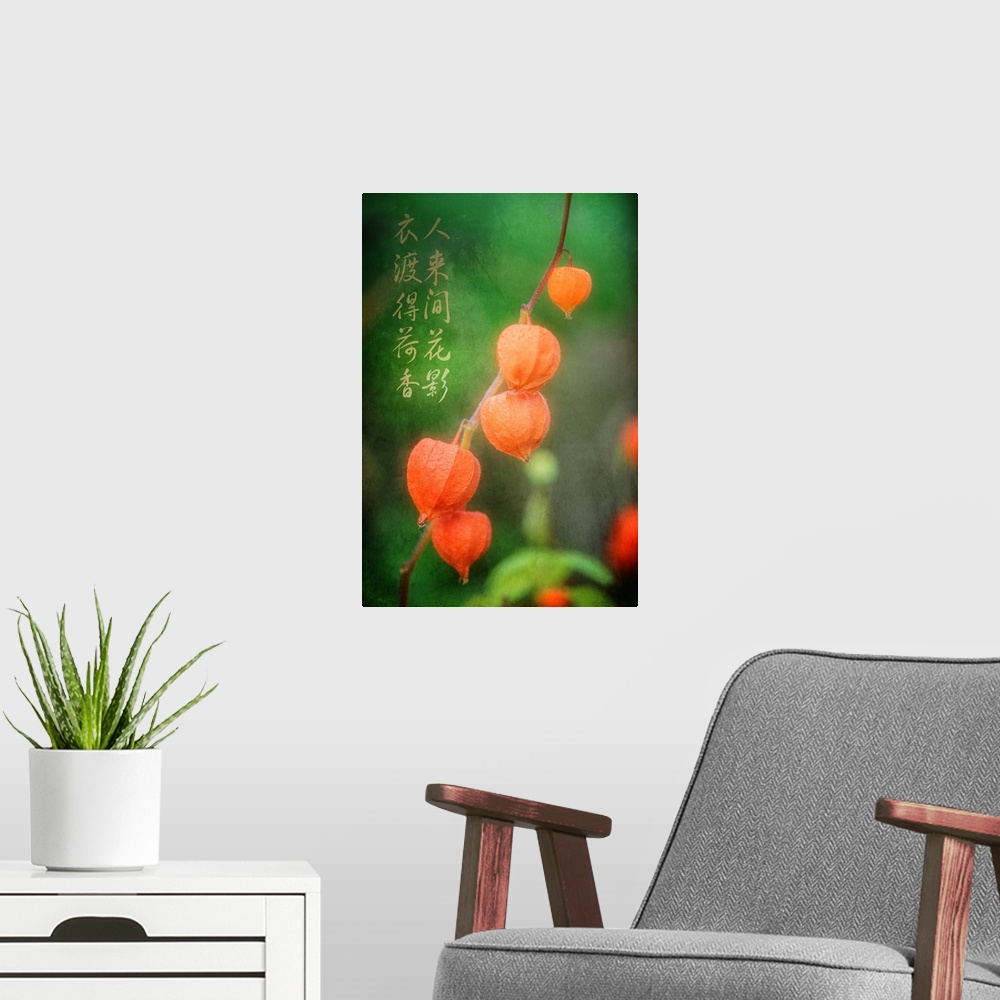 A modern room featuring Orange Chinese Lantern fruit on a branch, with Chinese calligraphy.