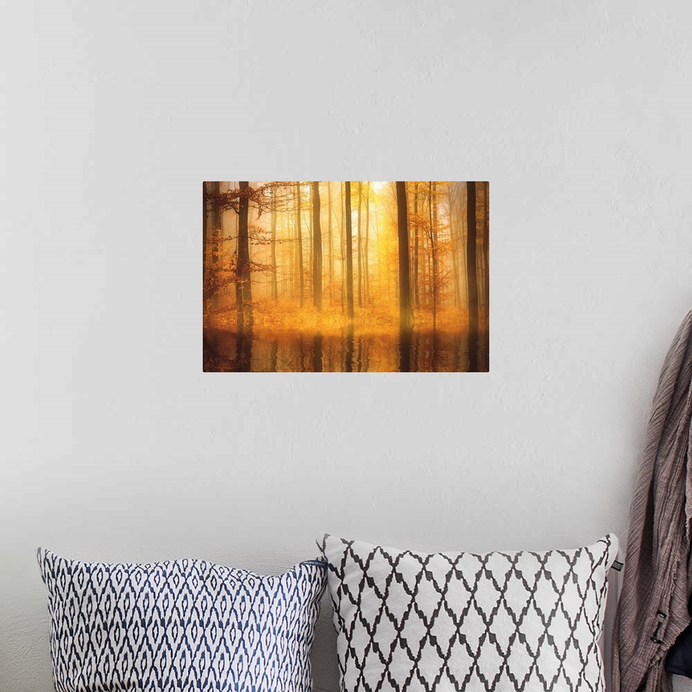 A bohemian room featuring Majestic photograph of golden lit Autumn woods with trees reflecting into rippling water.
