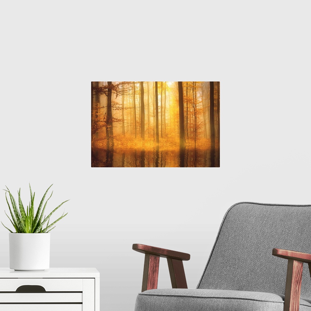 A modern room featuring Majestic photograph of golden lit Autumn woods with trees reflecting into rippling water.