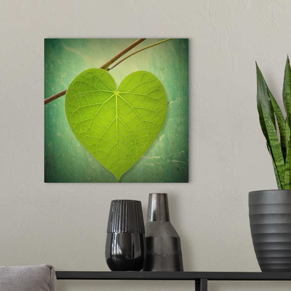 A modern room featuring This decorative accent is a photograph of single leaf shaped like a heart on a twig against an ou...