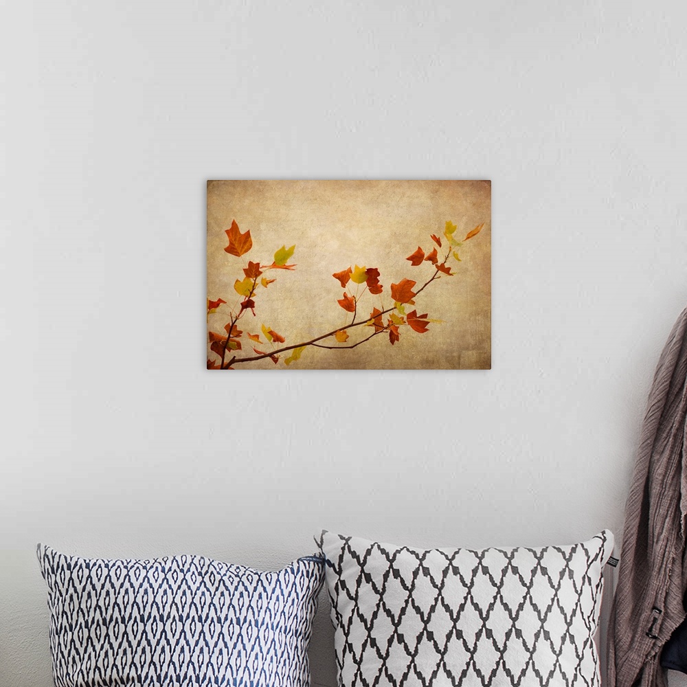 A bohemian room featuring Fine art photo of a thin branch with broad leaves against a beige background in the fall.