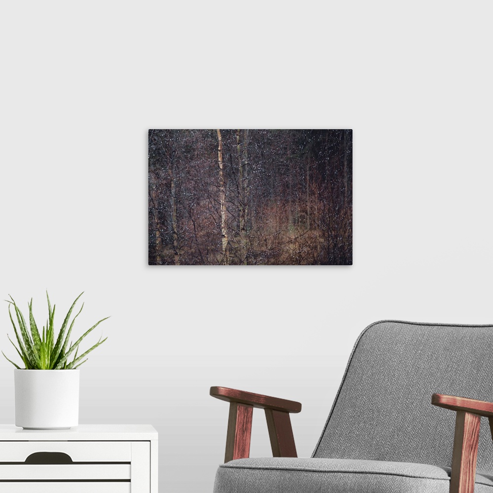 A modern room featuring Two photos of trees with snow falling that has been stacked on each other to create a blurred eff...