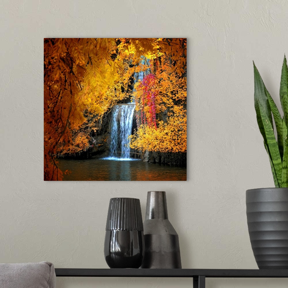 A modern room featuring Photograph of waterfall seen through the brightly colored autumn leaves.