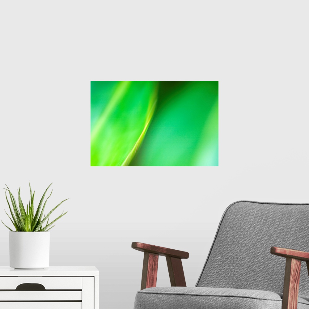 A modern room featuring Fine Art photography close up of a blurry, in motion leaf.