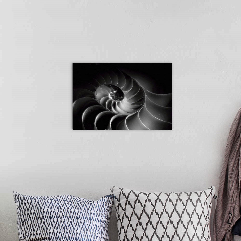 A bohemian room featuring A black and white macro photograph of a nautilus shell cross section.