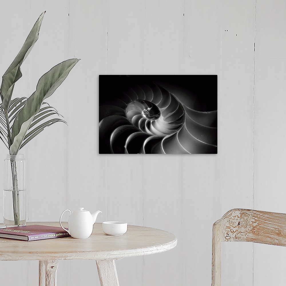 A farmhouse room featuring A black and white macro photograph of a nautilus shell cross section.