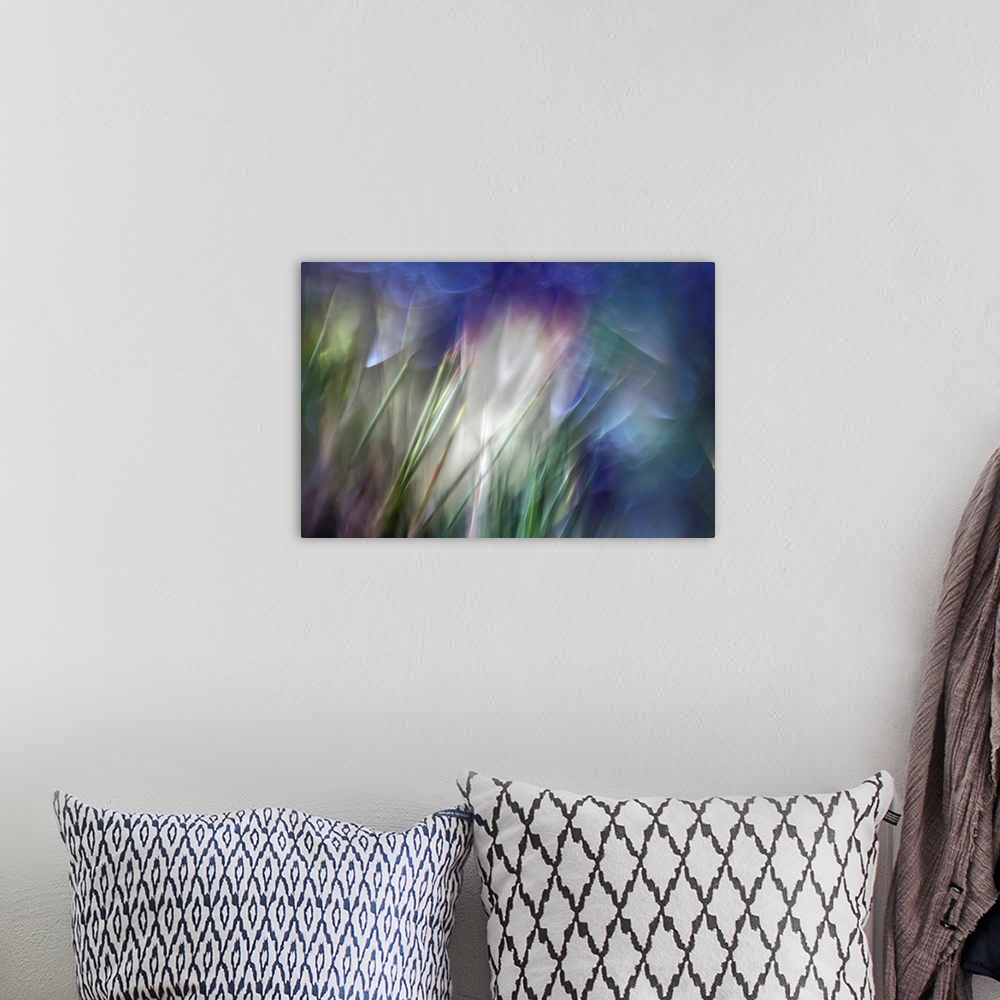 A bohemian room featuring Close up abstract photography of blurry stems of grass.