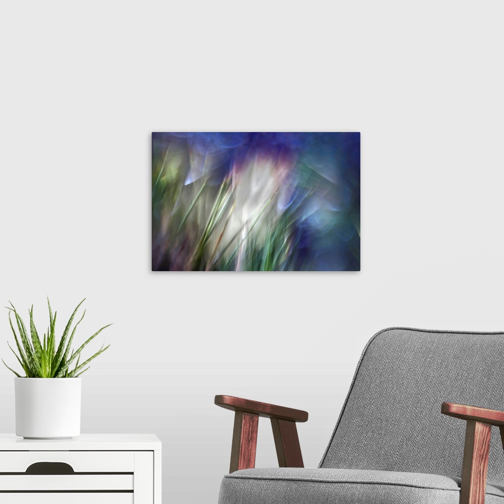 A modern room featuring Close up abstract photography of blurry stems of grass.