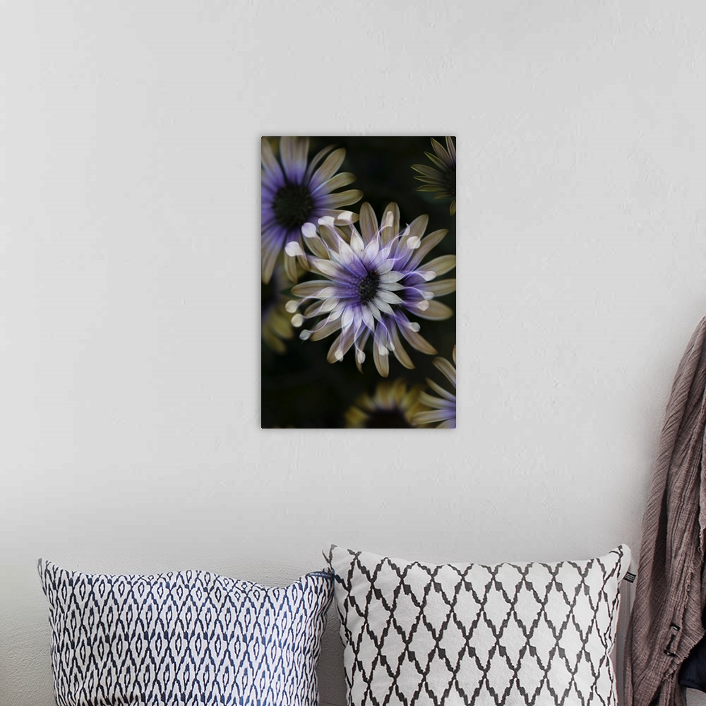 A bohemian room featuring Small flowers with a negative effect