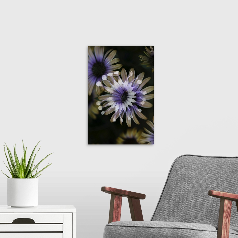 A modern room featuring Small flowers with a negative effect