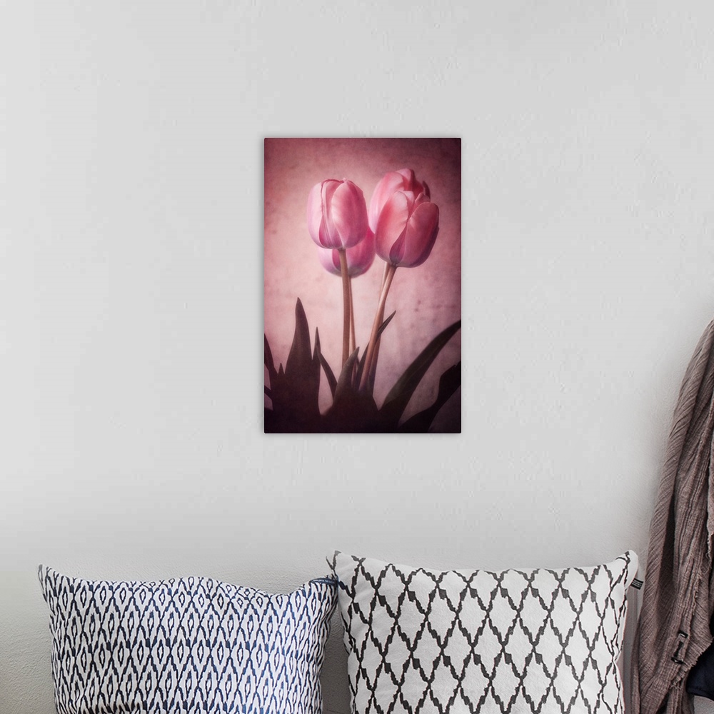 A bohemian room featuring Tulips close-up with a photo texture