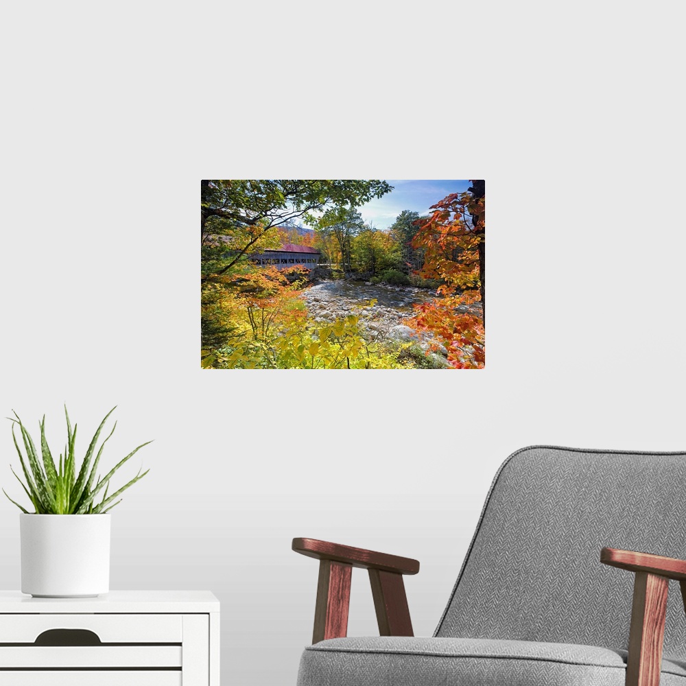 A modern room featuring Large photograph focuses on a covered overpass as it sits above a slow moving stream filled with ...