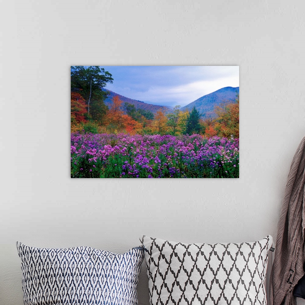 A bohemian room featuring Large landscape photograph of purple flowers and autumn foliage in a meadow at twilight, in Crawf...