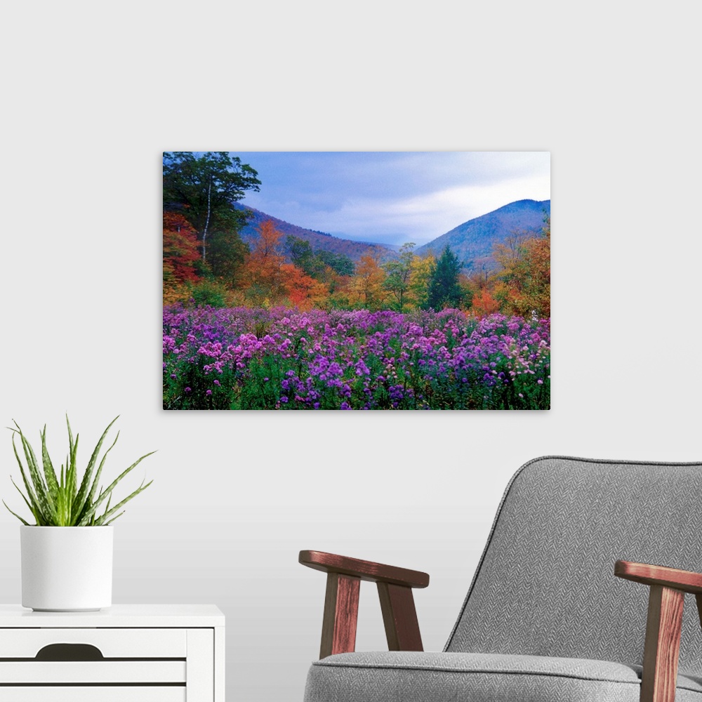 A modern room featuring Large landscape photograph of purple flowers and autumn foliage in a meadow at twilight, in Crawf...