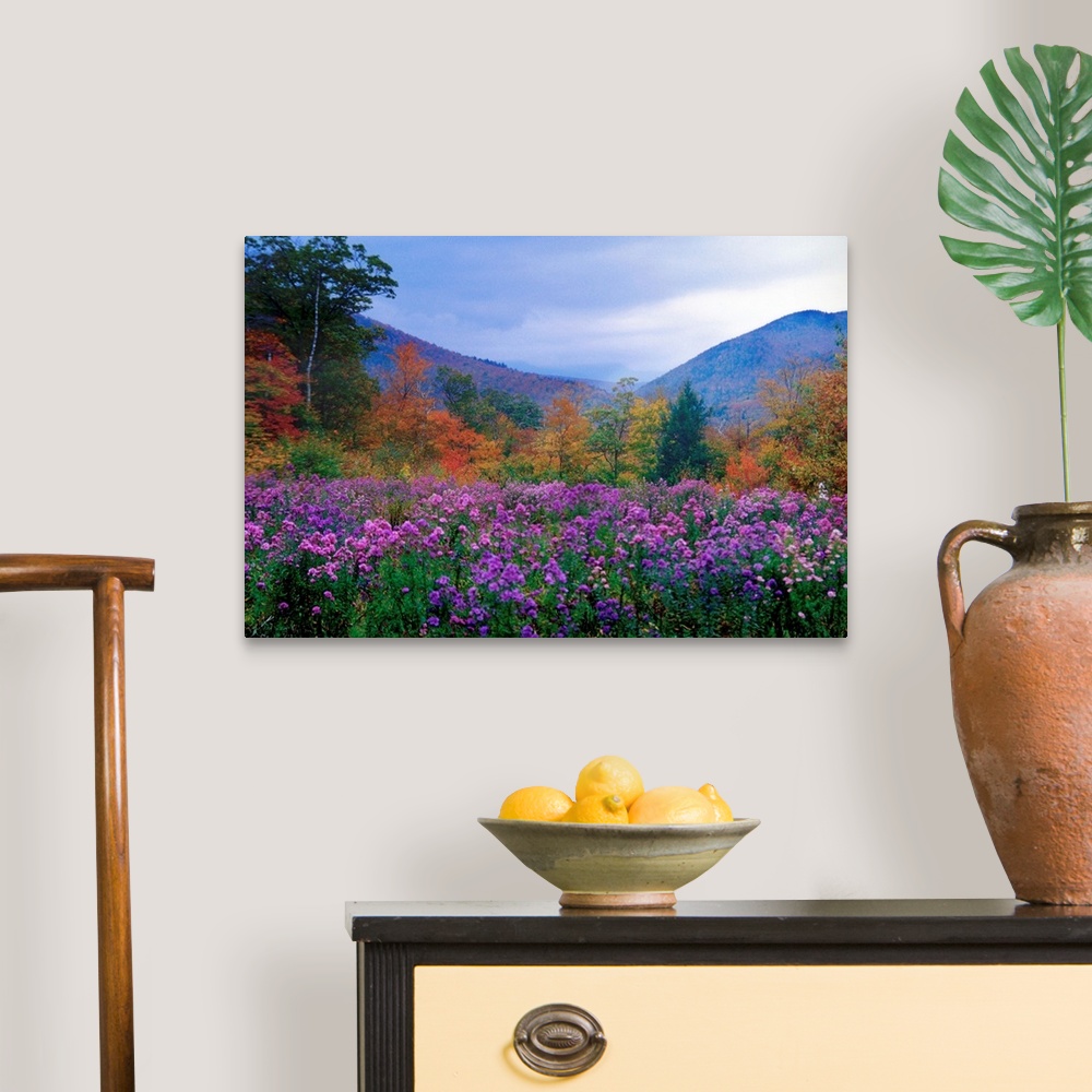 A traditional room featuring Large landscape photograph of purple flowers and autumn foliage in a meadow at twilight, in Crawf...