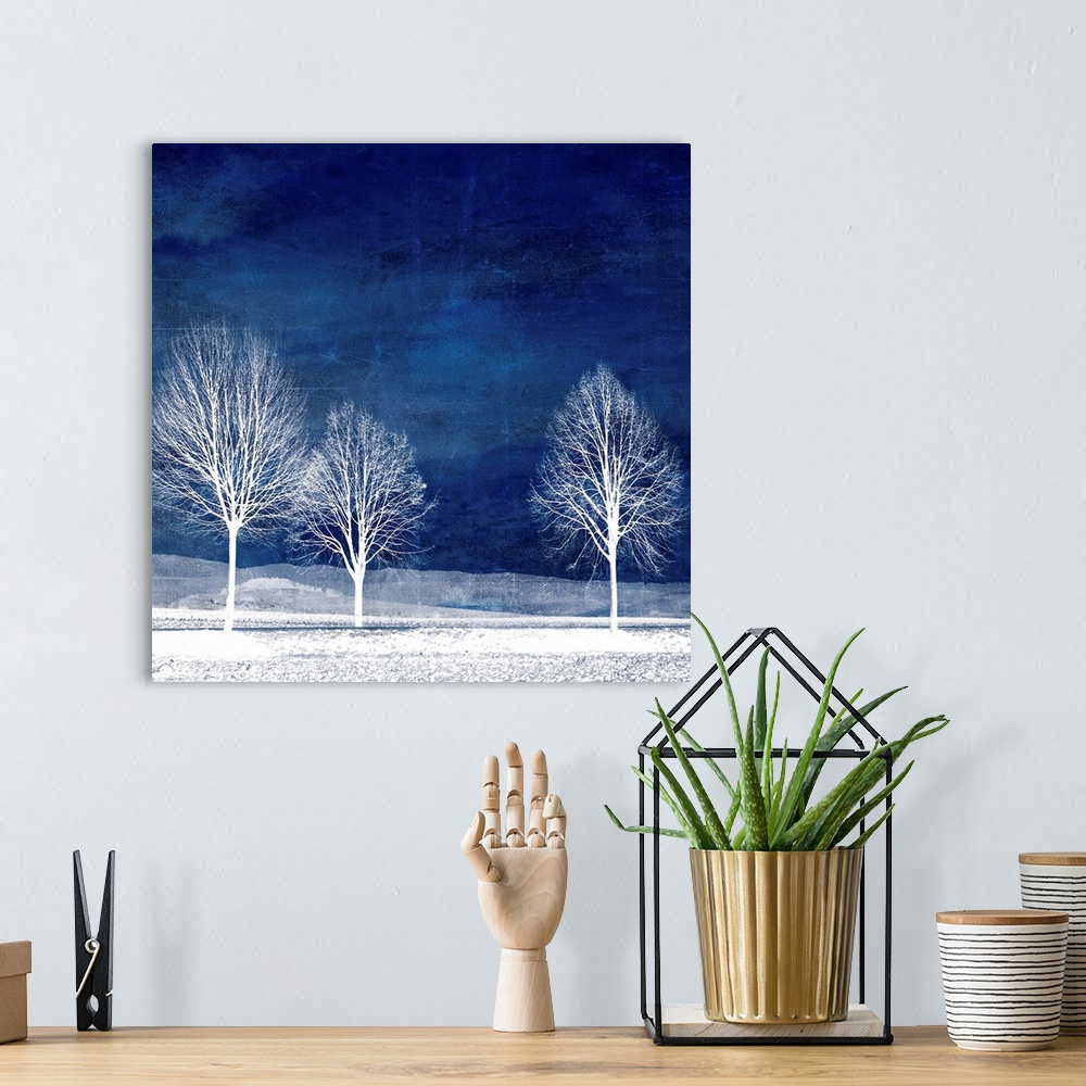 A bohemian room featuring Trees on blue background with photo texture