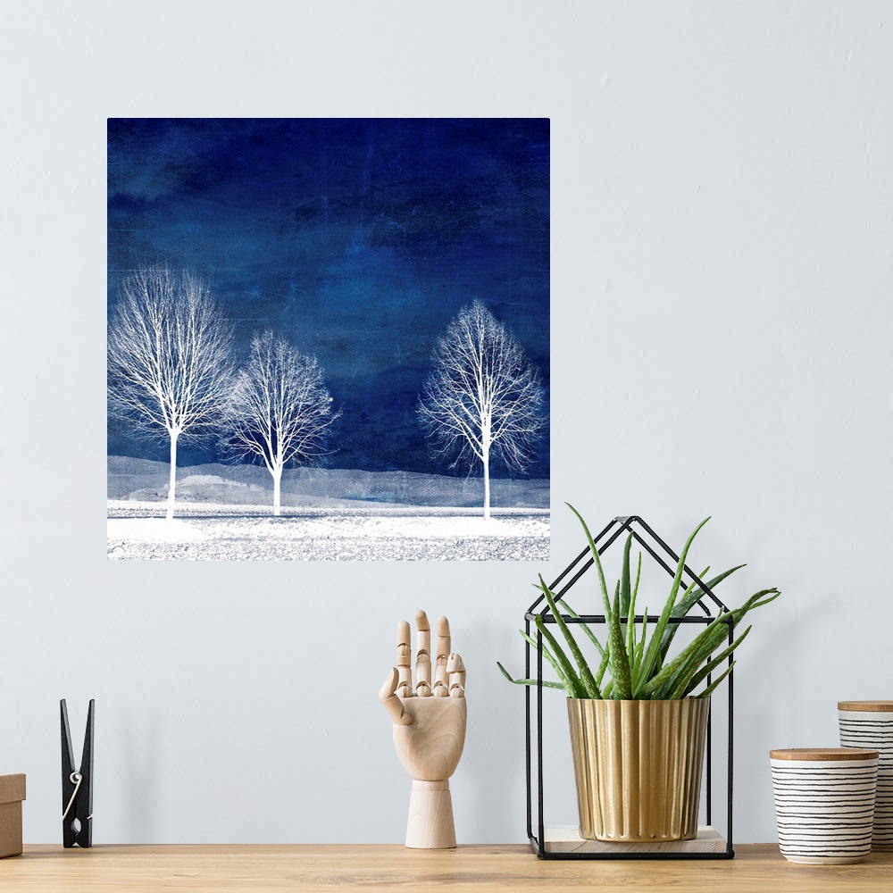 A bohemian room featuring Trees on blue background with photo texture