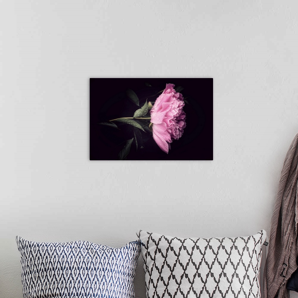 A bohemian room featuring A peony close-up with dew