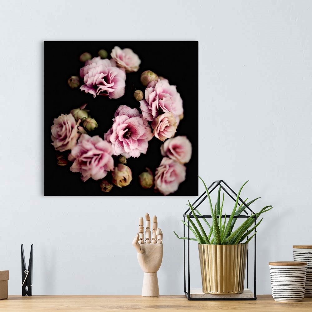 A bohemian room featuring Square image with a soft focus giving this group of pink flowers a dreamy look.