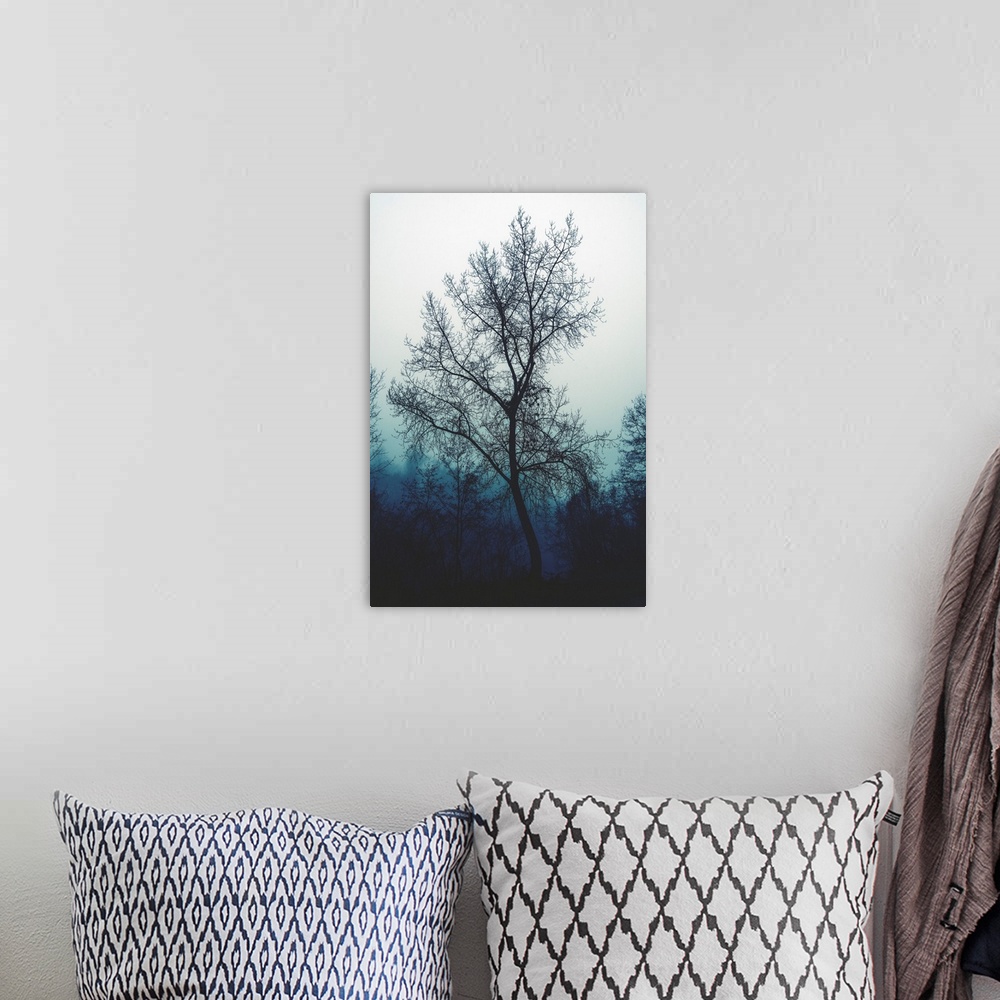 A bohemian room featuring Bare tree in an ominous atmosphere