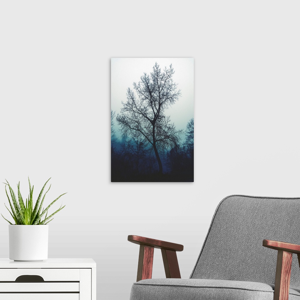 A modern room featuring Bare tree in an ominous atmosphere