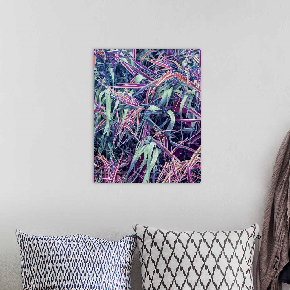 A bohemian room featuring A closeup of grass in vivid purple and blue hues.