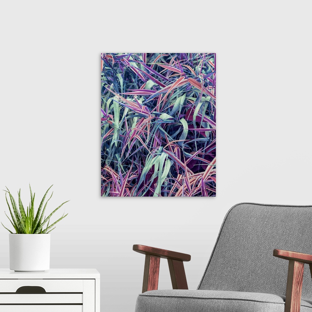 A modern room featuring A closeup of grass in vivid purple and blue hues.