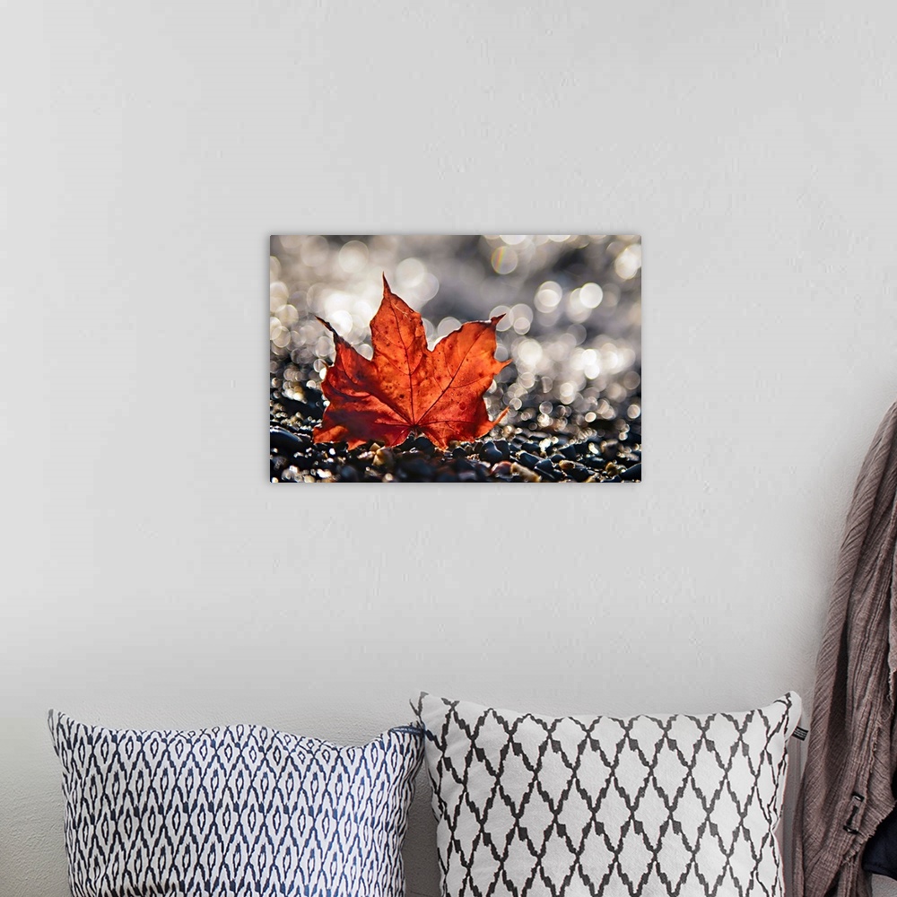 A bohemian room featuring A photo of an orange leaf sitting upright on pebbles against a blurred background.