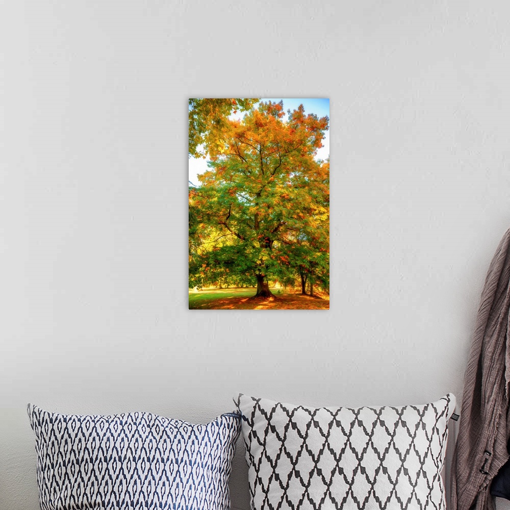 A bohemian room featuring Autumn foliage of an oak with a expressionist photo or painterly effect