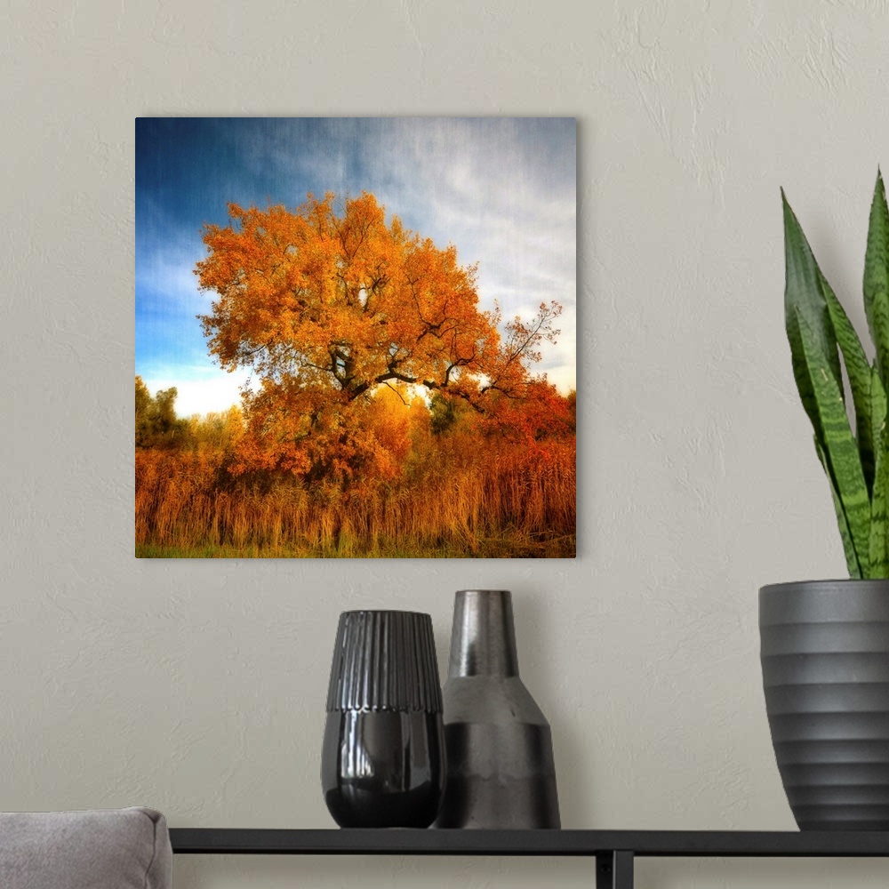 A modern room featuring A golden tree in autumn