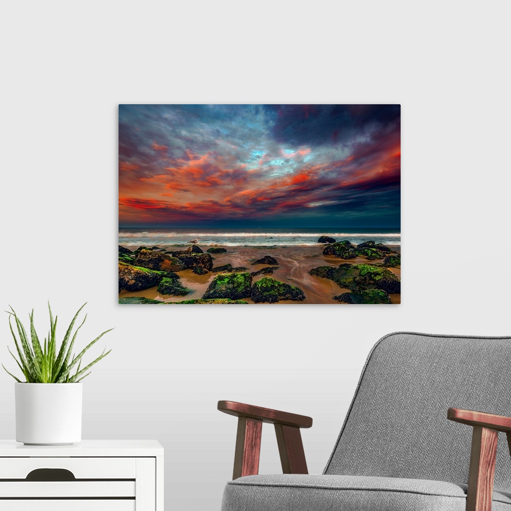 A modern room featuring Rocks covered in algae on the beach under a stunning display of sunset colored clouds.
