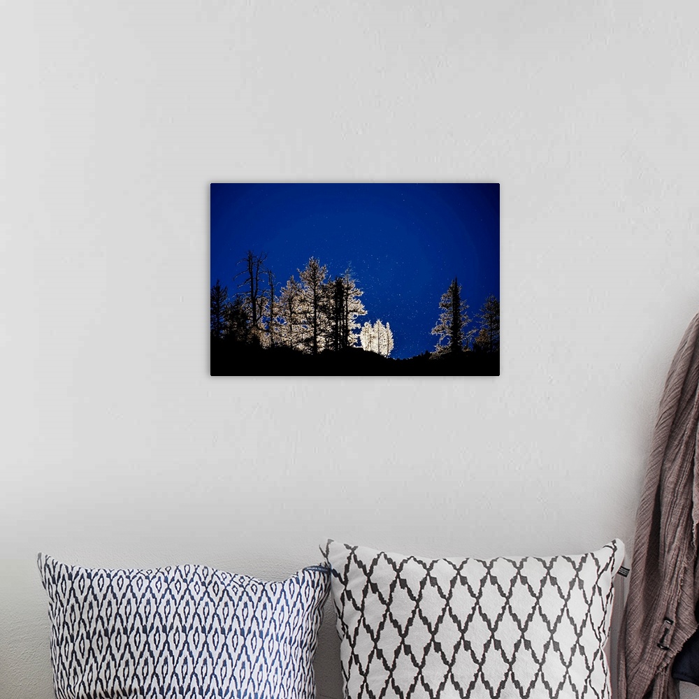 A bohemian room featuring A photo of a line of trees that have a glow outline against a dark blue sky.