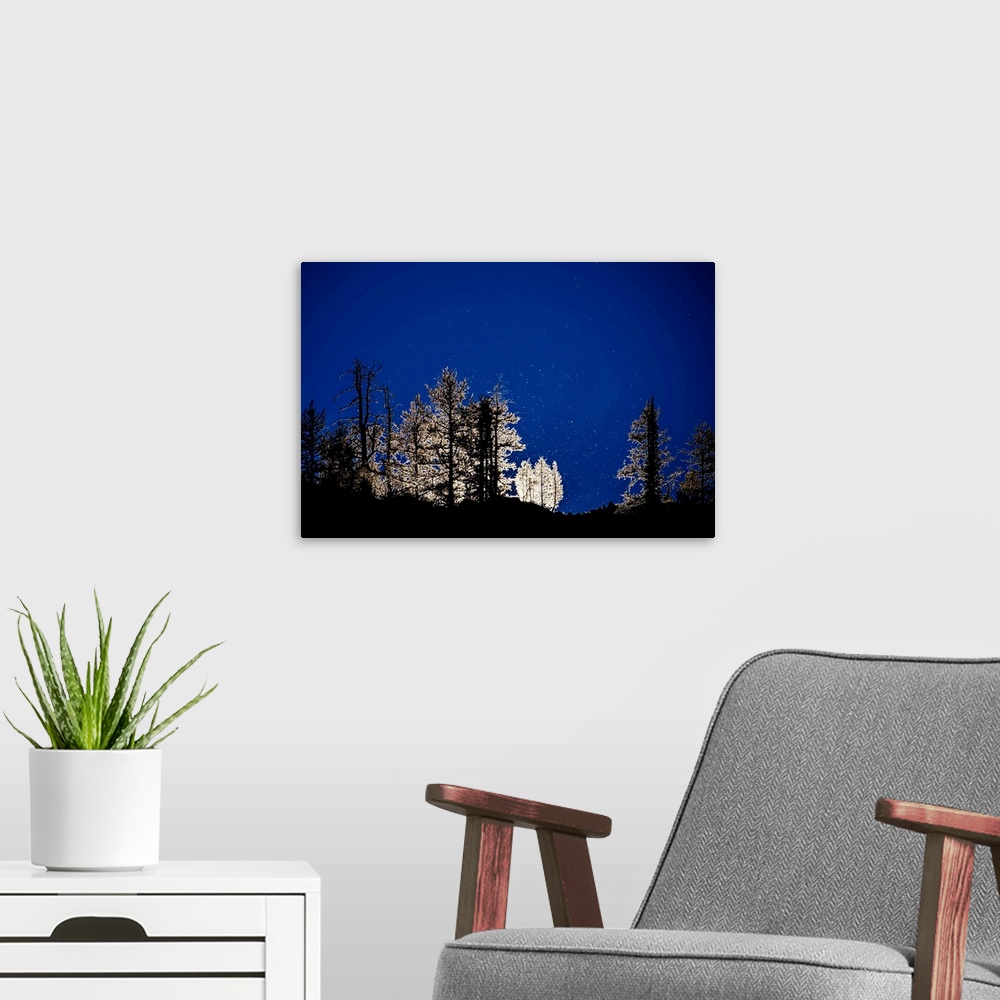 A modern room featuring A photo of a line of trees that have a glow outline against a dark blue sky.