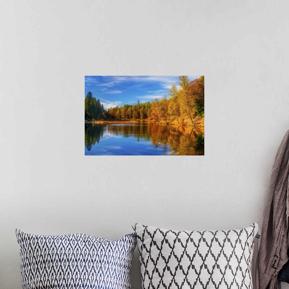 A bohemian room featuring Trees in a variety of fall colors mirrored in a lake with a blue sky above.