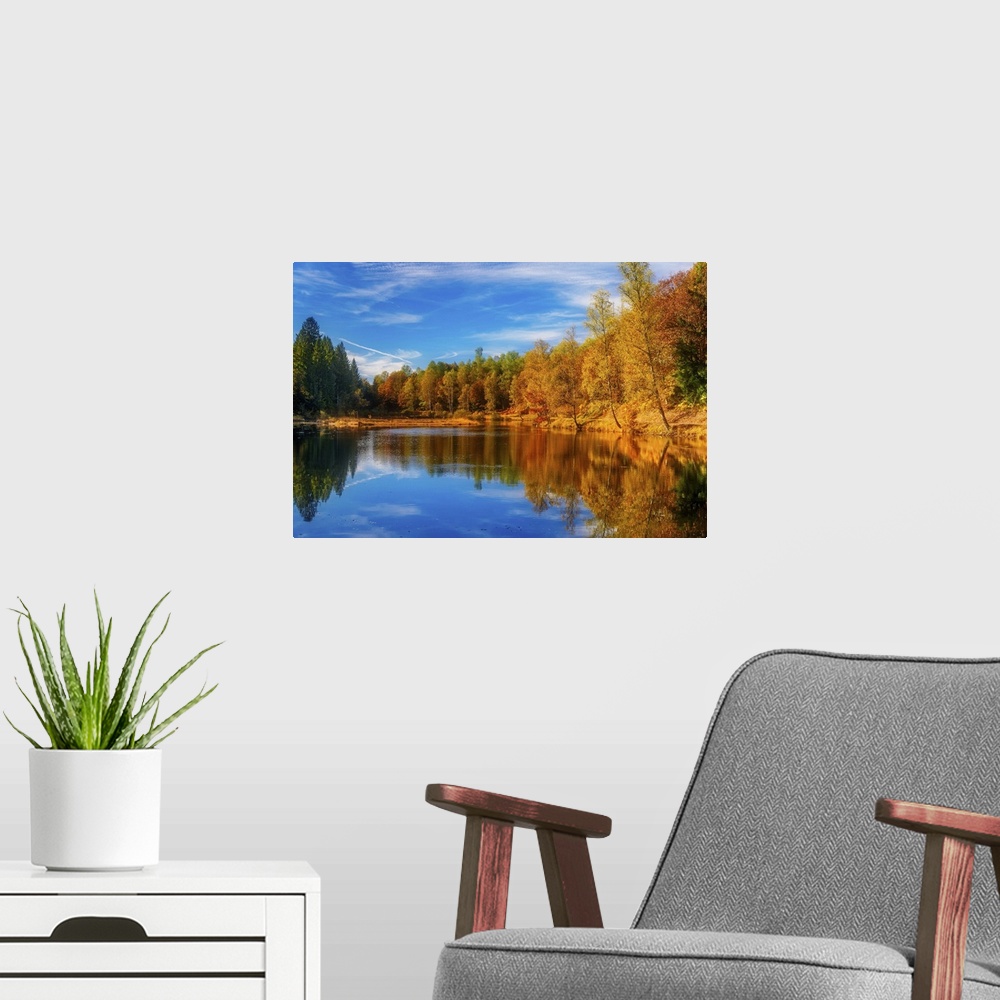 A modern room featuring Trees in a variety of fall colors mirrored in a lake with a blue sky above.