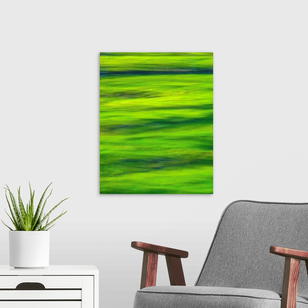 A modern room featuring Blurred photo of ripples in a green pond.
