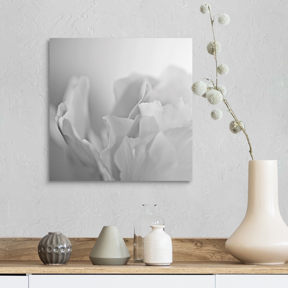 A farmhouse room featuring This square wall art has very low contrast in the photograph of a white peony on a white backdrop.