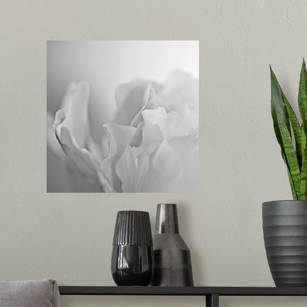 A modern room featuring This square wall art has very low contrast in the photograph of a white peony on a white backdrop.
