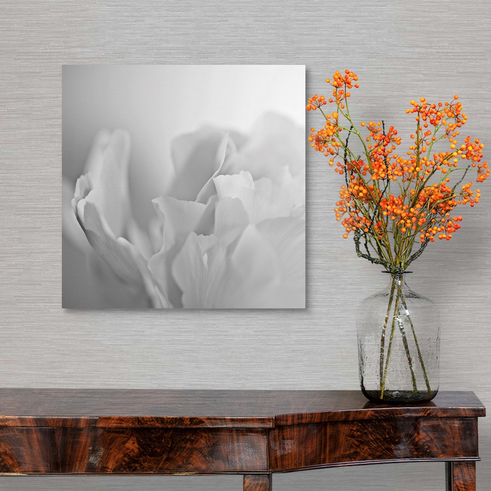 A traditional room featuring This square wall art has very low contrast in the photograph of a white peony on a white backdrop.