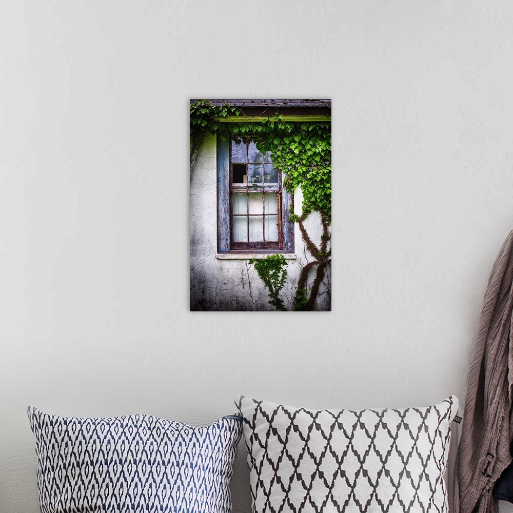 A bohemian room featuring Close Up View of an Olds Weatherworn Window Overgrown With Ivy