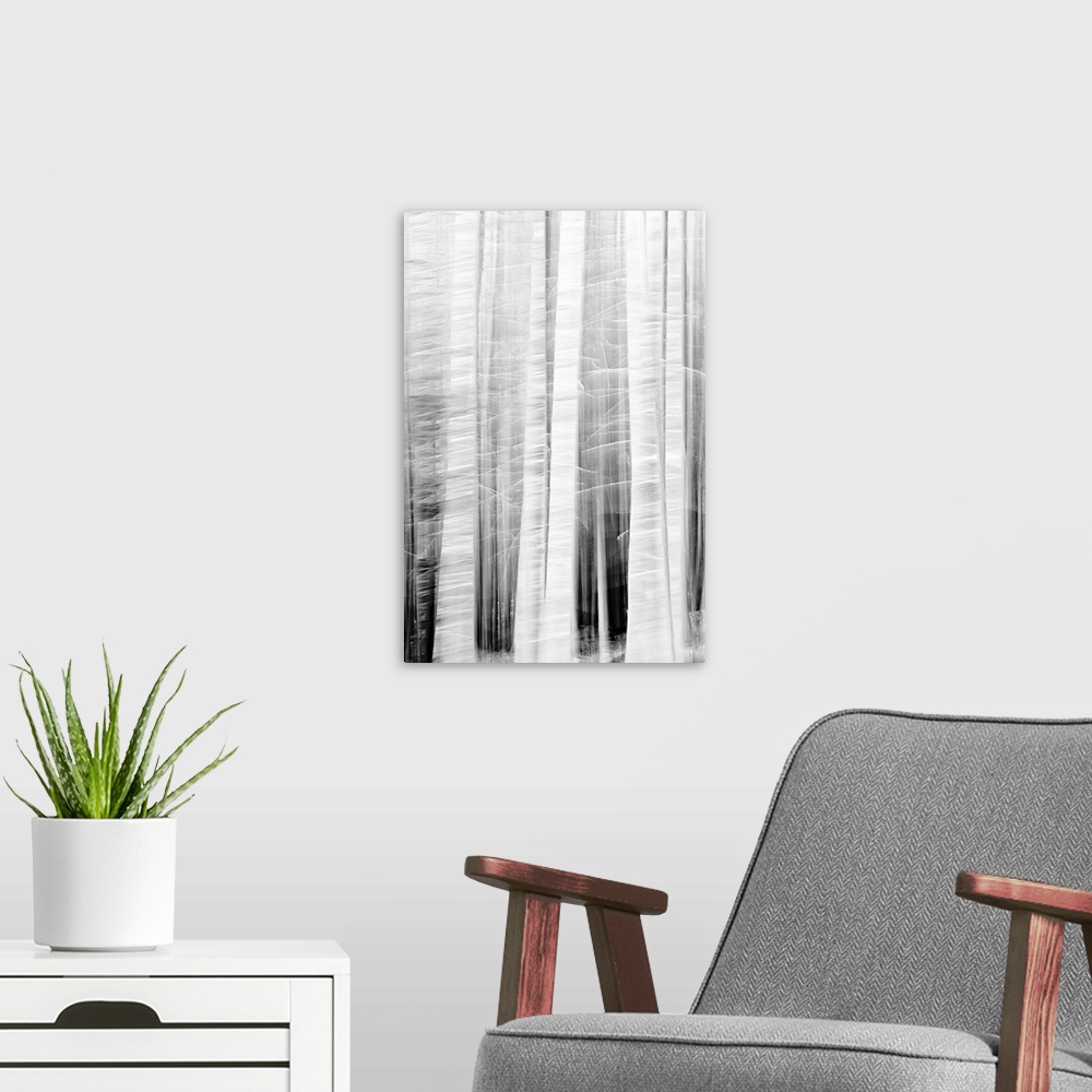 A modern room featuring Leafless trees abstract.
